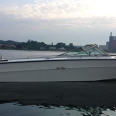 Sea Ray SRV 190