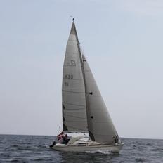 Larsen 25