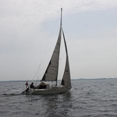 Larsen 25