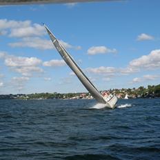 Larsen 25