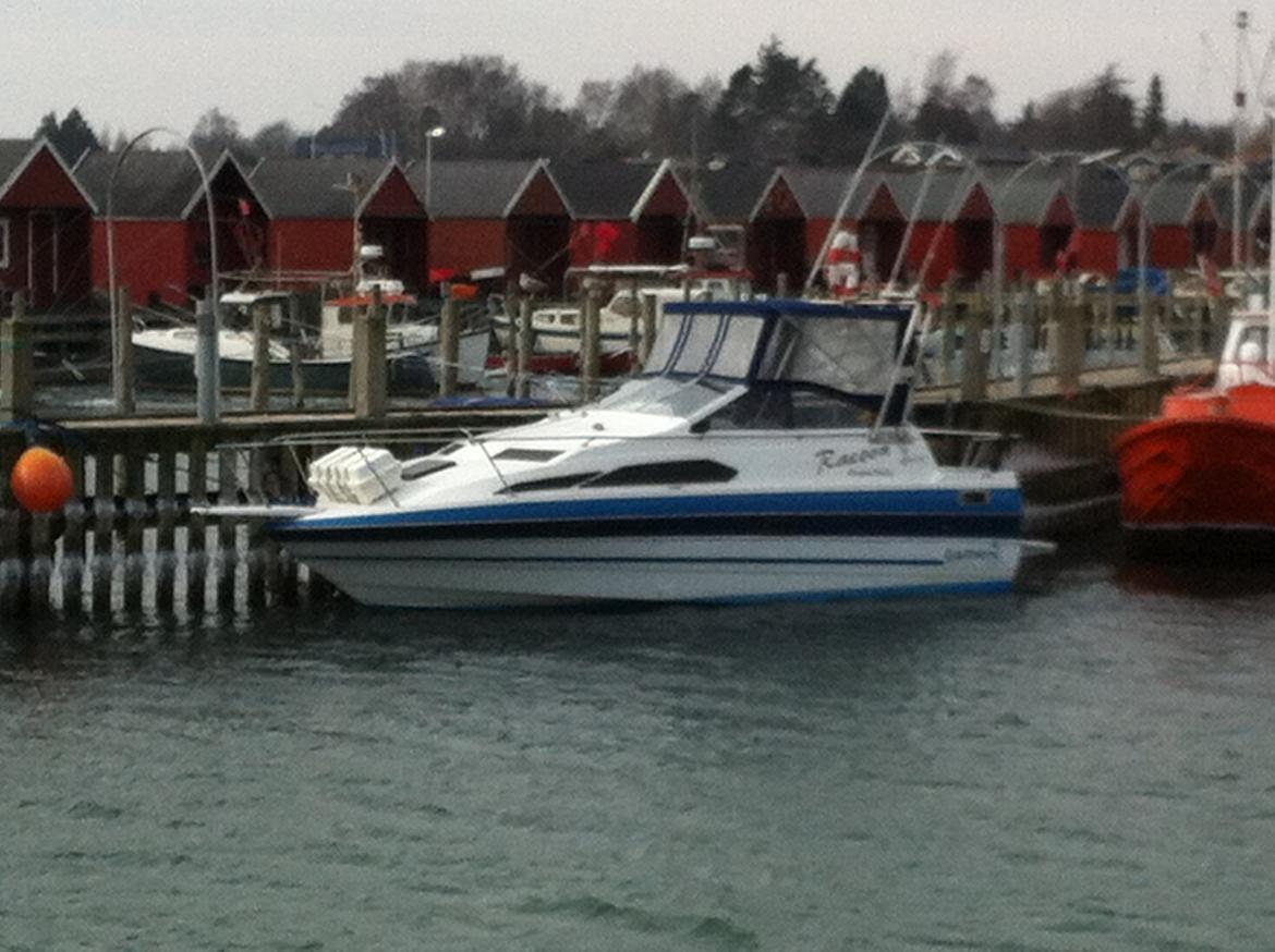 Bayliner 2455 Ciera Sunbridge - Lige landet fra Bornholm billede 1