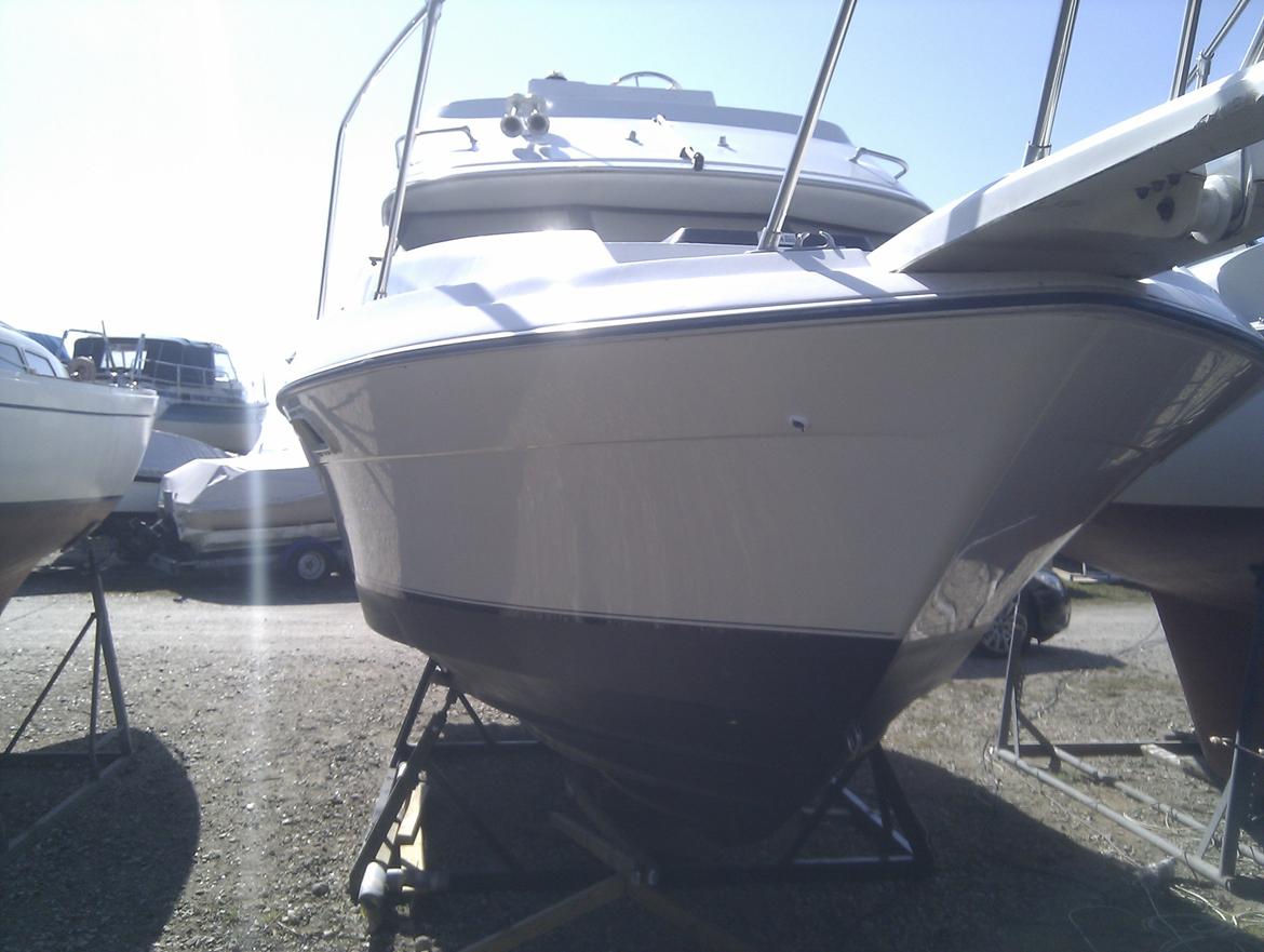 Bayliner 2556 Cierra CommandBridge billede 1