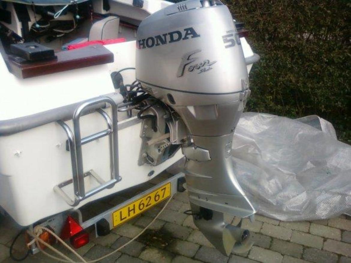 Shetland Dolfin cadet billede 2