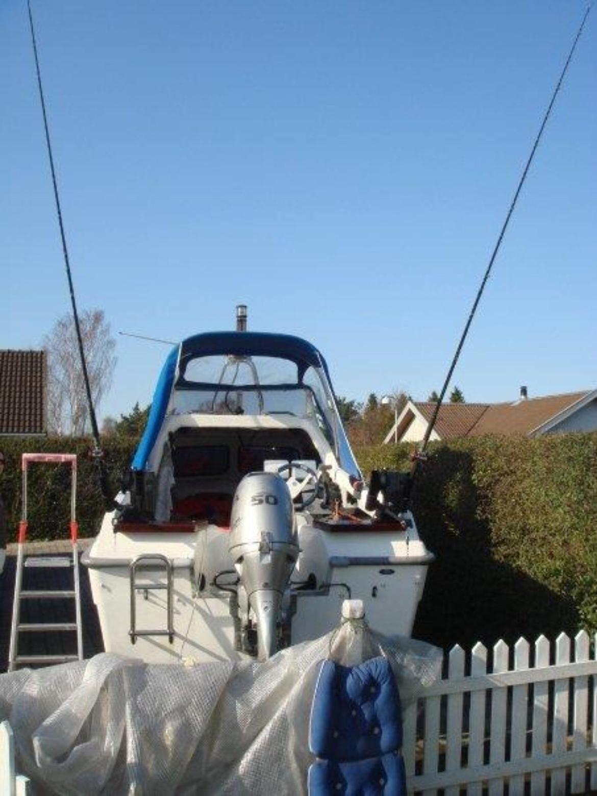 Shetland Dolfin cadet billede 3
