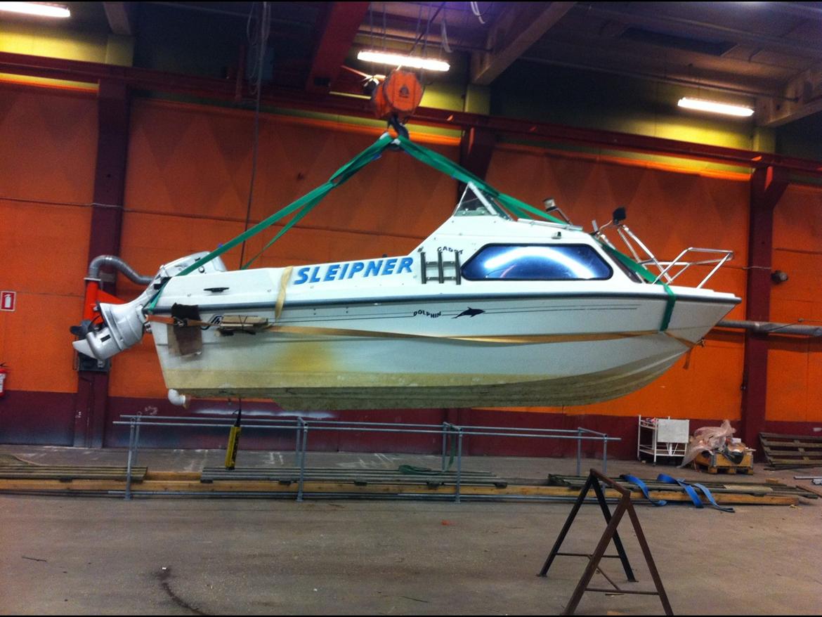 Shetland Dolfin cadet billede 6