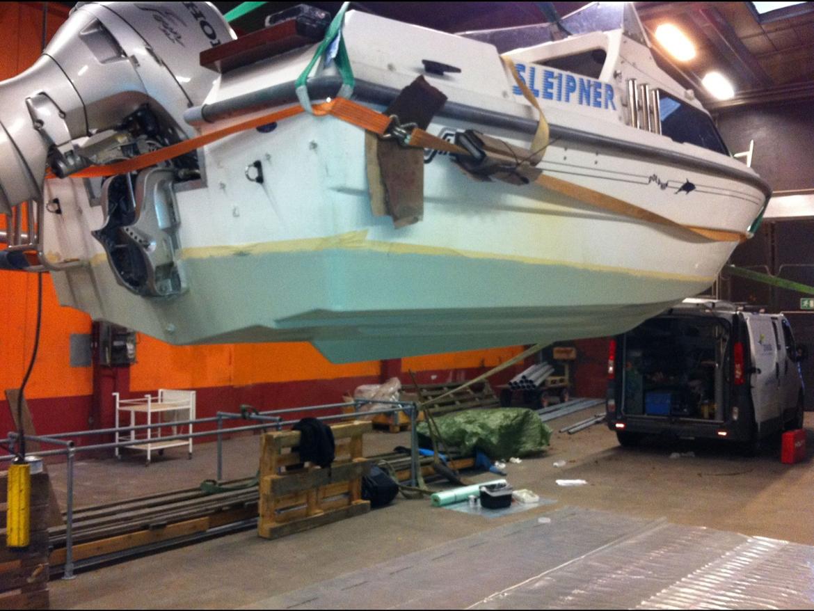Shetland Dolfin cadet billede 7