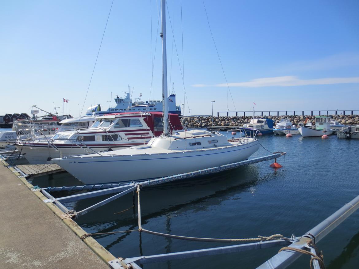 Albin Accent 26 - På plads i Vesterø Havn billede 8