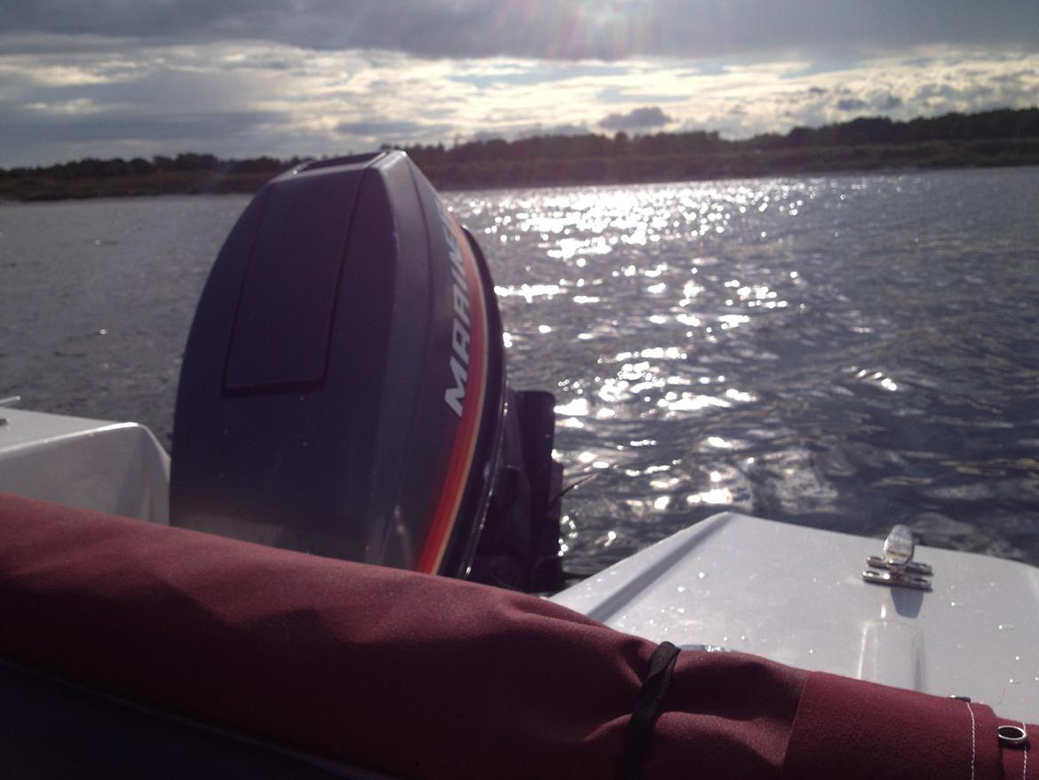 Marino Mustang V-15 billede 9