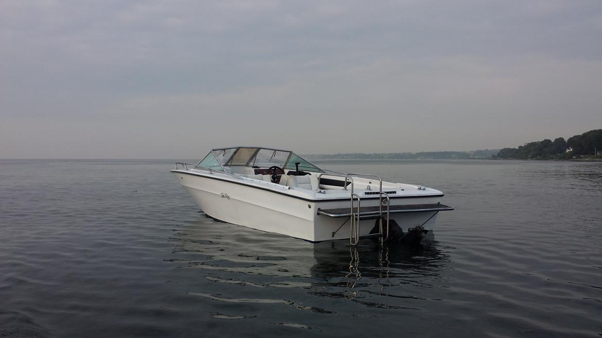 Sea Ray SRV 190 billede 5