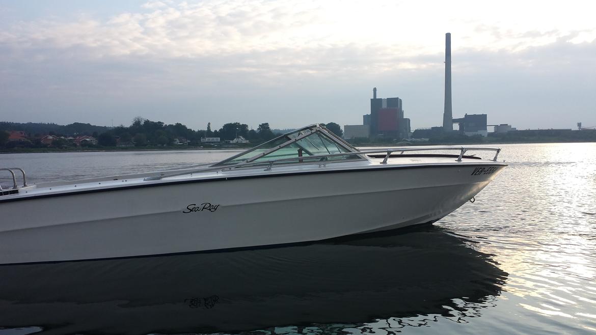 Sea Ray SRV 190 billede 6