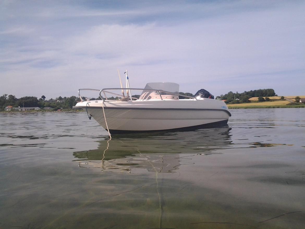 Bella 440 R billede 4