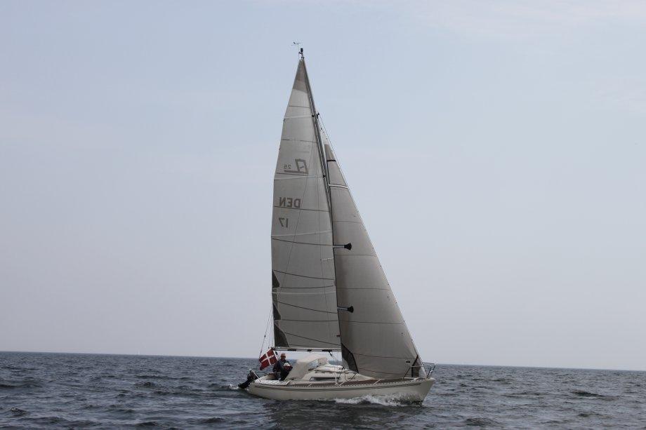 Larsen 25 - 2013 Pinsetur til Dyvig billede 2
