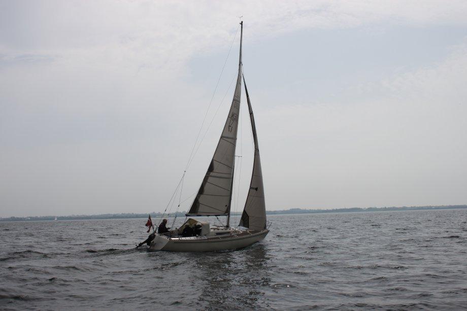 Larsen 25 - 2013 Pinsetur til Dyvig billede 3