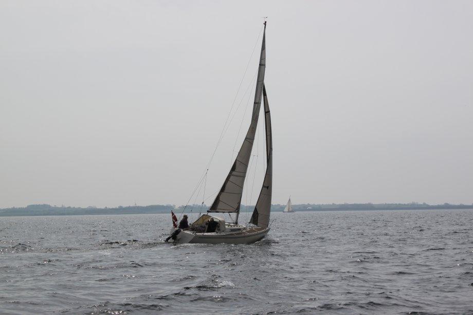 Larsen 25 - 2013 Pinsetur til Dyvig billede 4