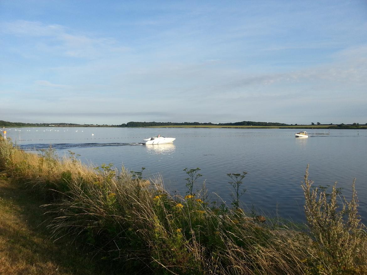 Sea Ray 200 OV LTD billede 22