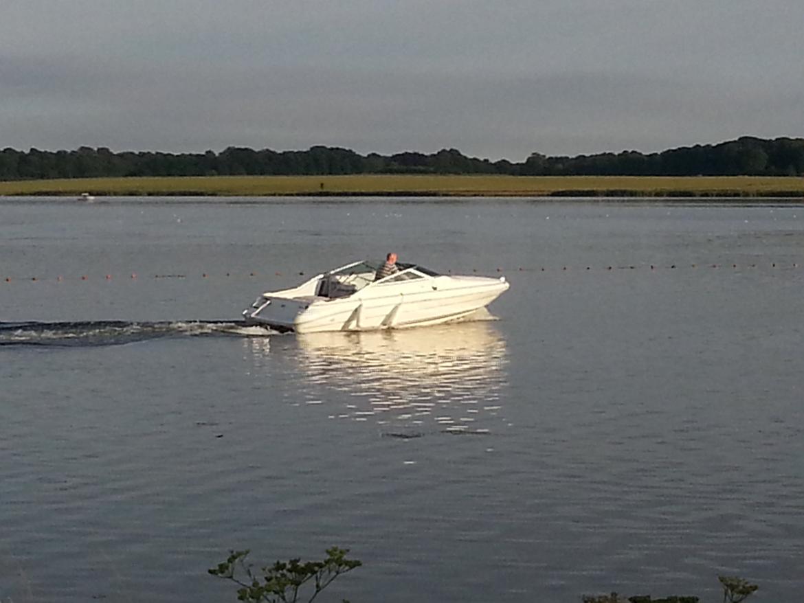 Sea Ray 200 OV LTD billede 4