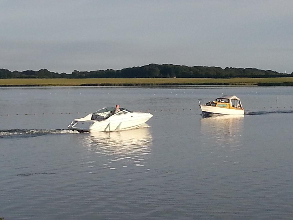 Sea Ray 200 OV LTD billede 23