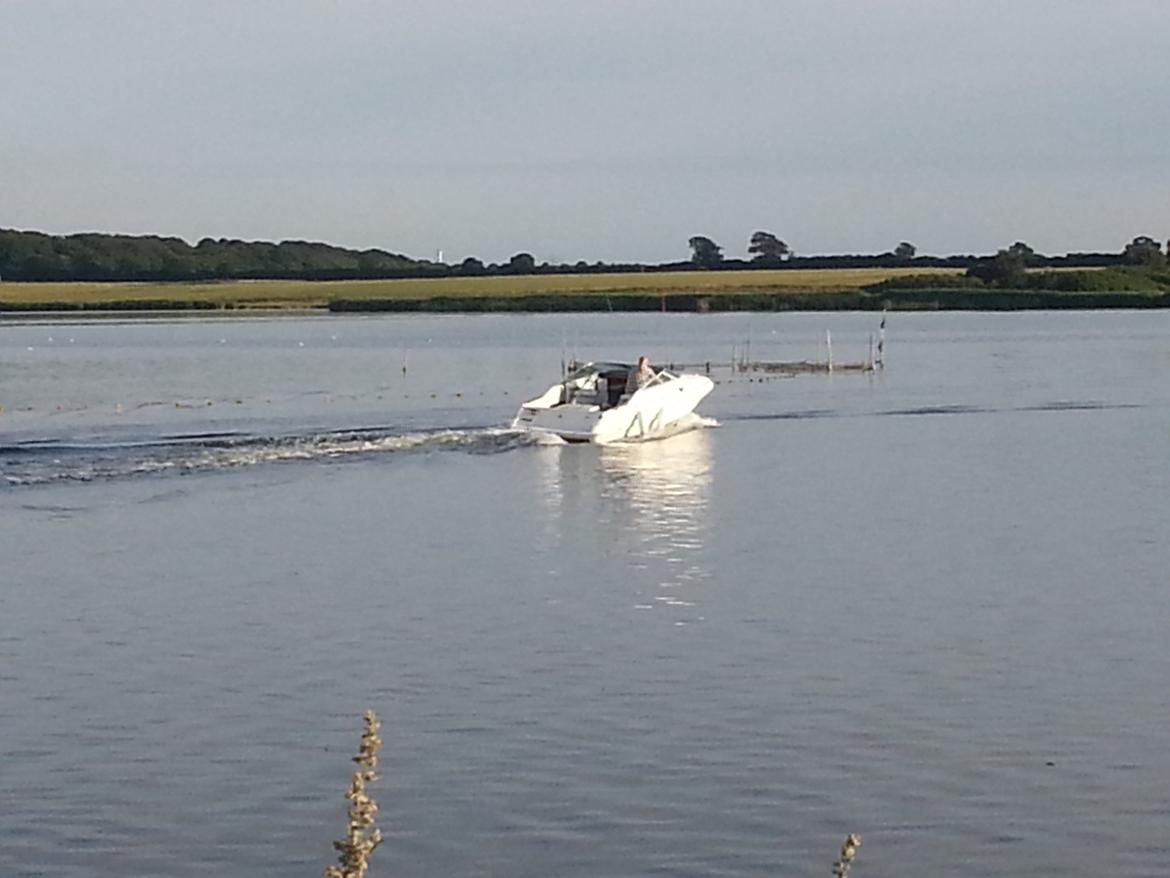 Sea Ray 200 OV LTD billede 24