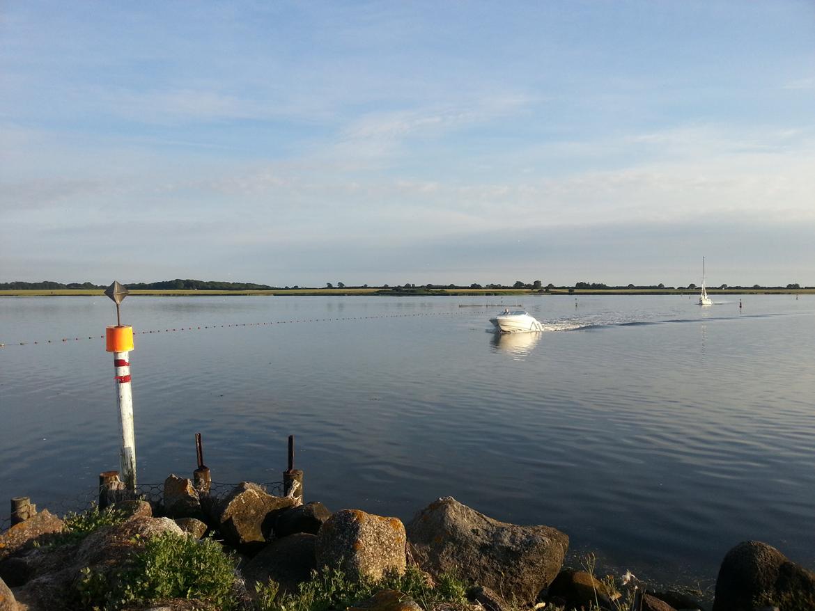 Sea Ray 200 OV LTD billede 26