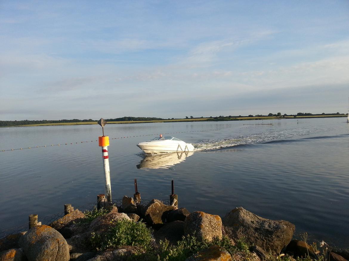 Sea Ray 200 OV LTD billede 27