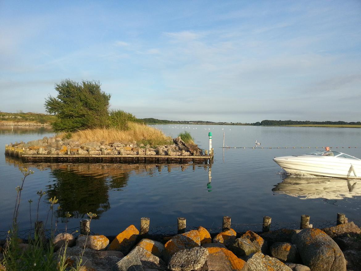 Sea Ray 200 OV LTD billede 28