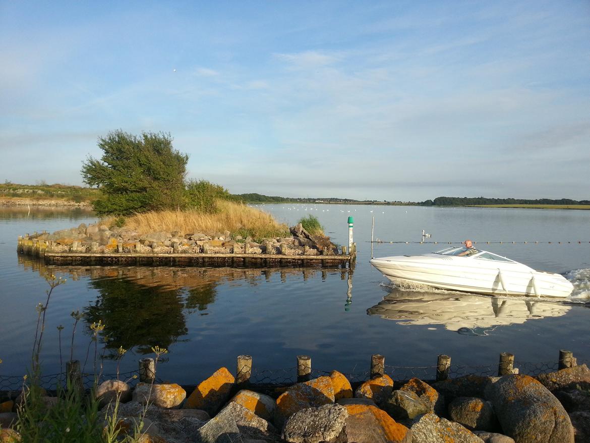 Sea Ray 200 OV LTD billede 29