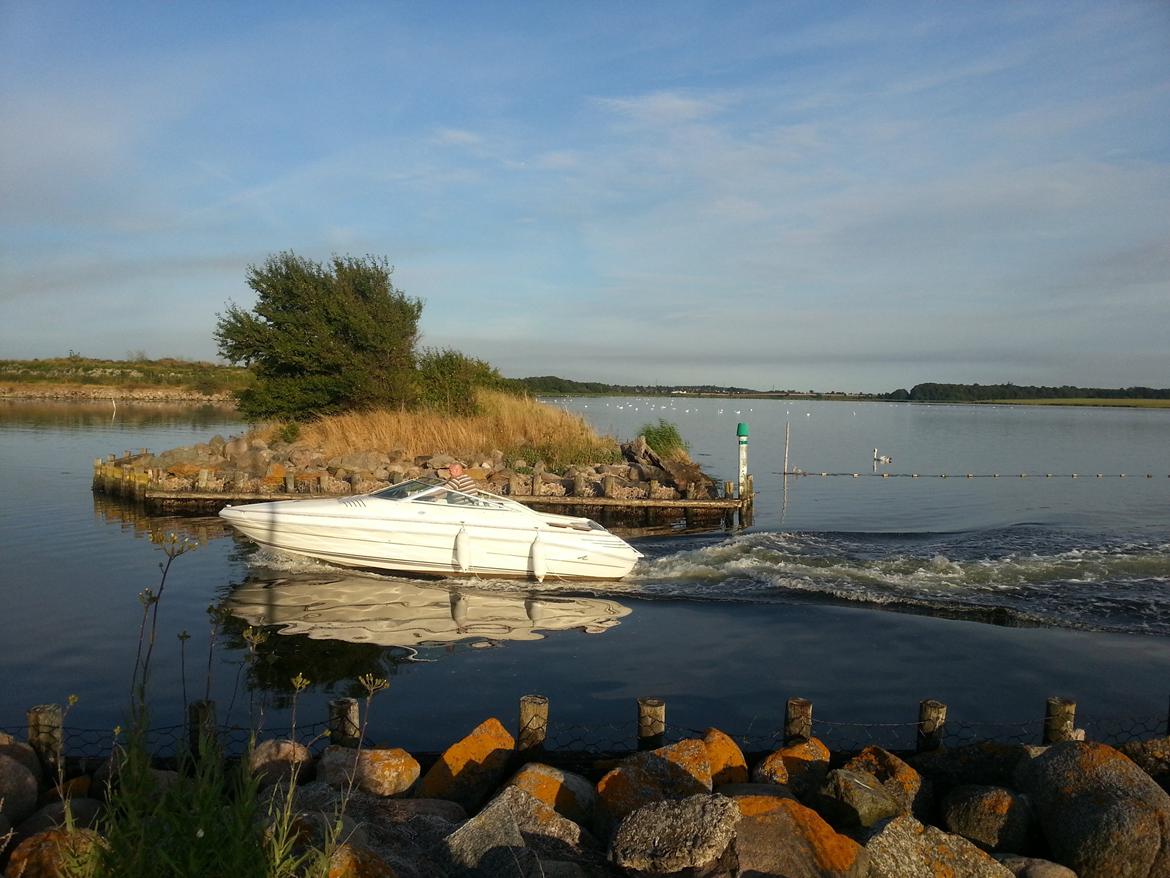 Sea Ray 200 OV LTD billede 2