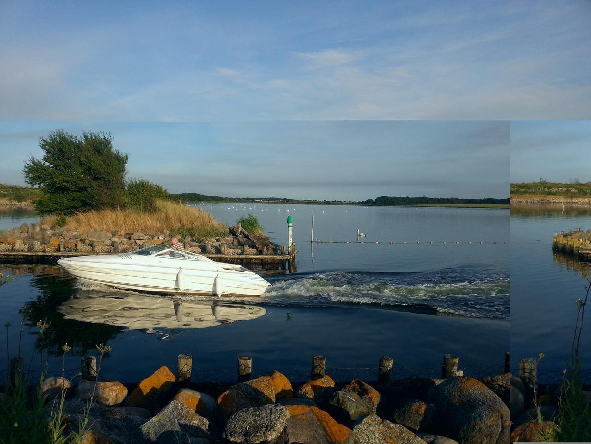 Sea Ray 200 OV LTD billede 31