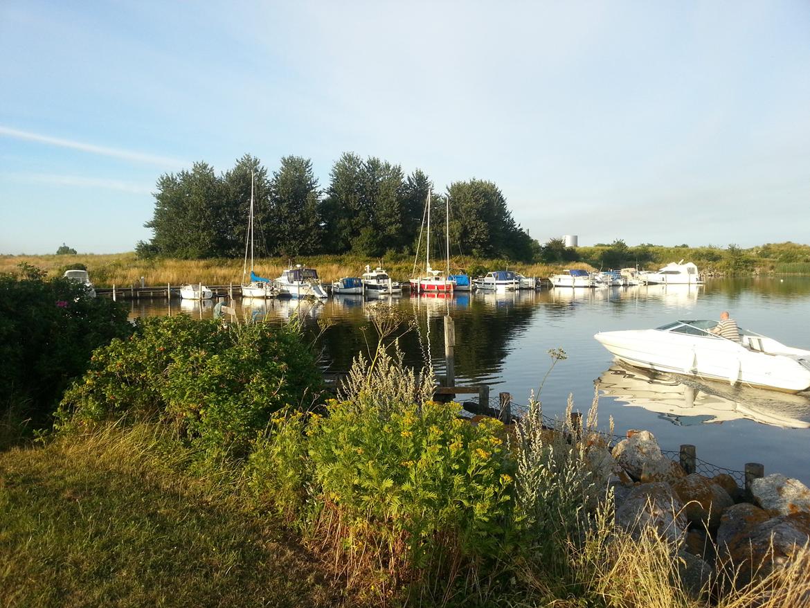 Sea Ray 200 OV LTD billede 32