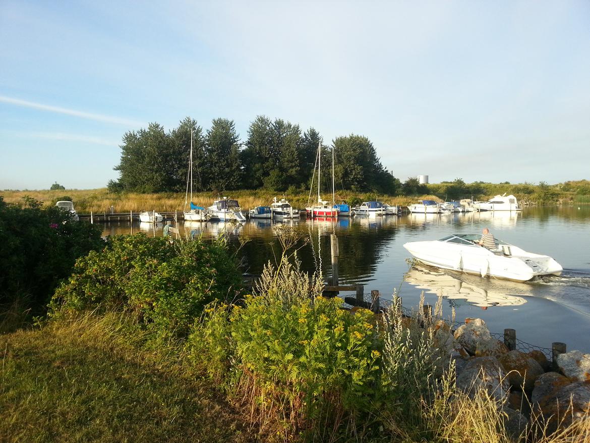 Sea Ray 200 OV LTD billede 33