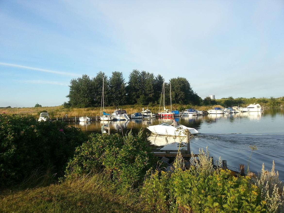 Sea Ray 200 OV LTD billede 34