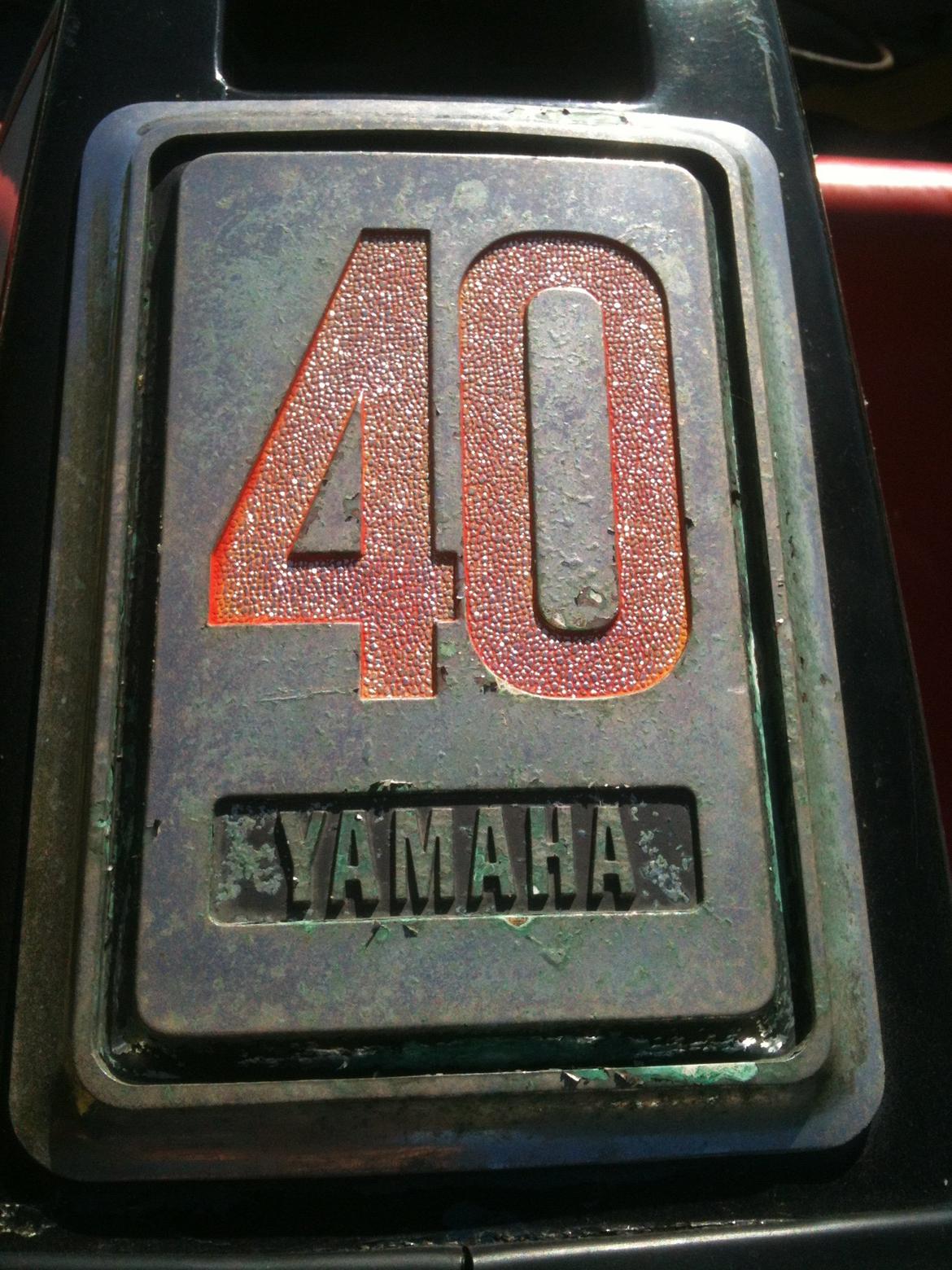 Shetland 535 billede 8