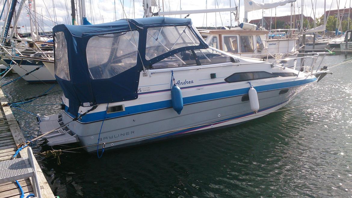 Bayliner 2455 Sunbridge billede 1