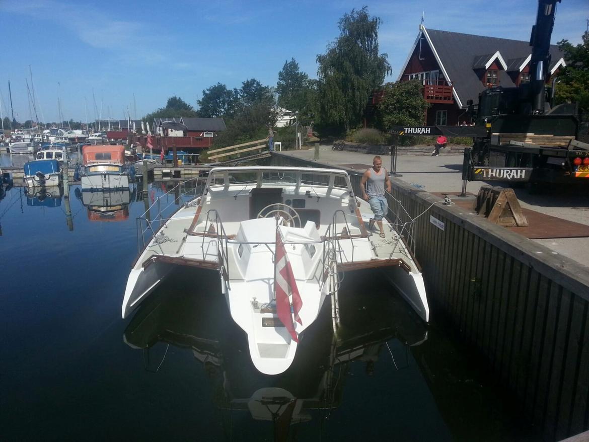 Flerskrogsbåd Trimaran billede 3