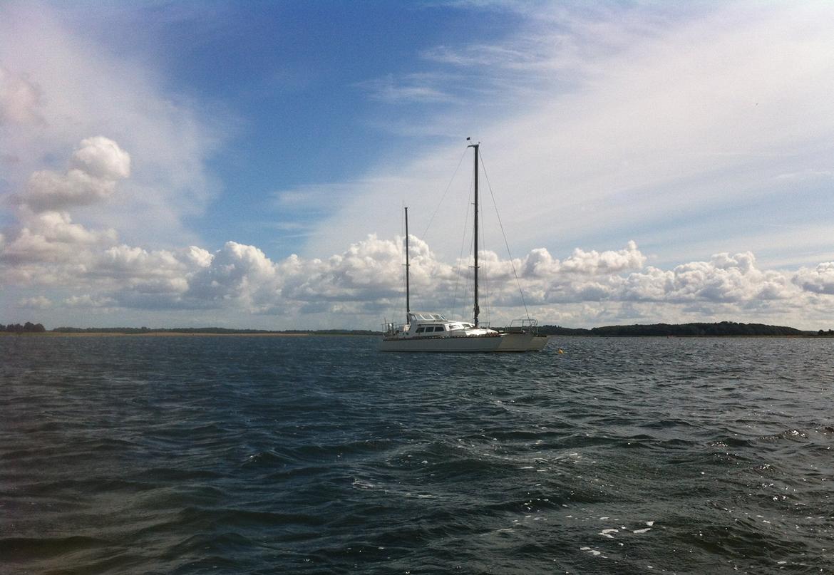 Flerskrogsbåd Trimaran billede 2