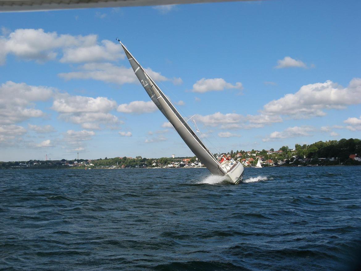 Larsen 25 - 2013 Kolding Fjord i august billede 1