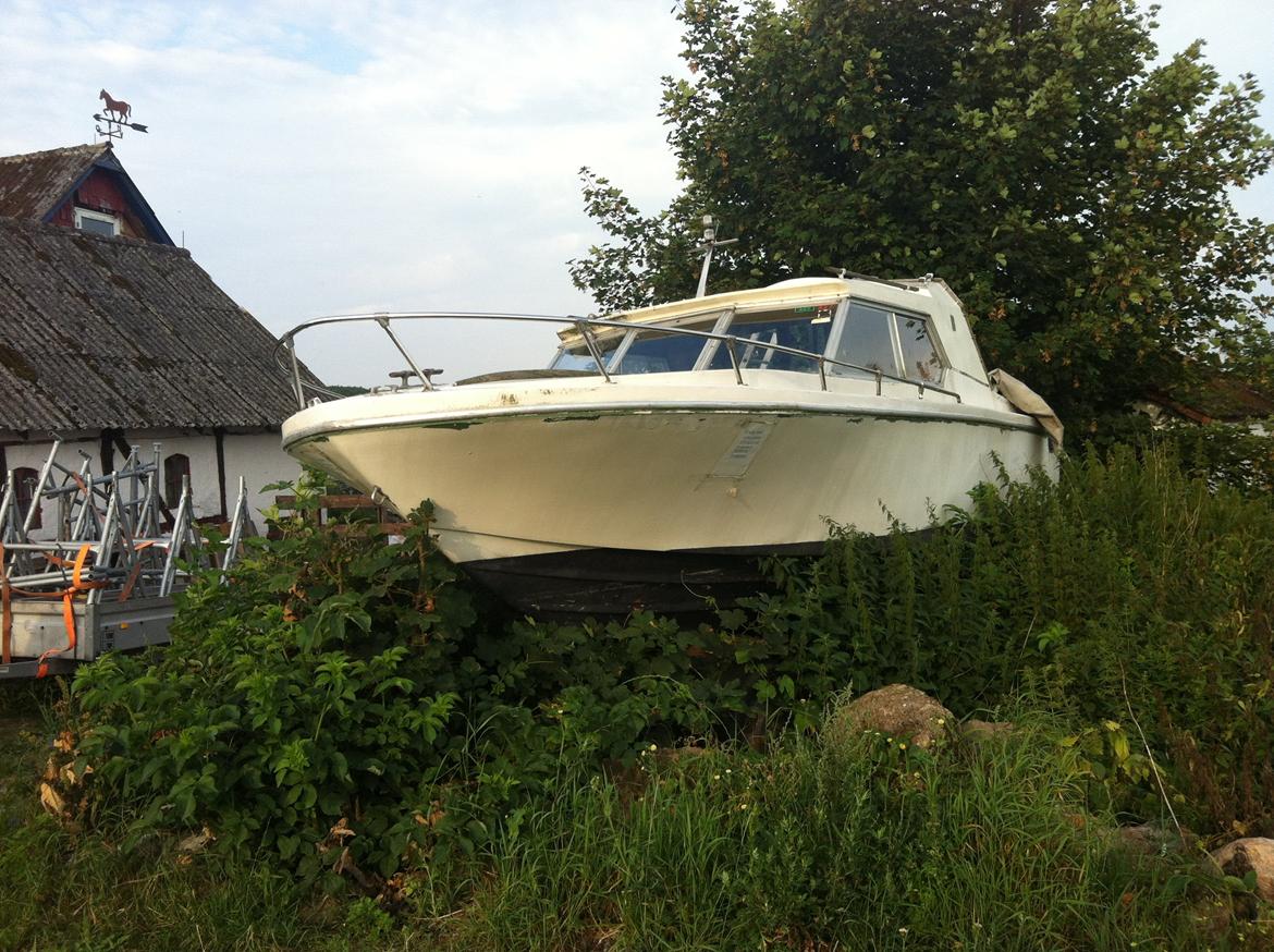 Reinell Cabin Cruiser (SOLGT) billede 1