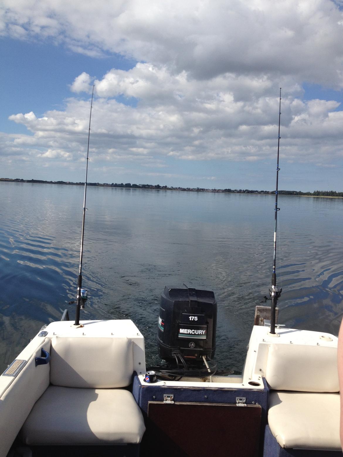 Bayliner Capri billede 7
