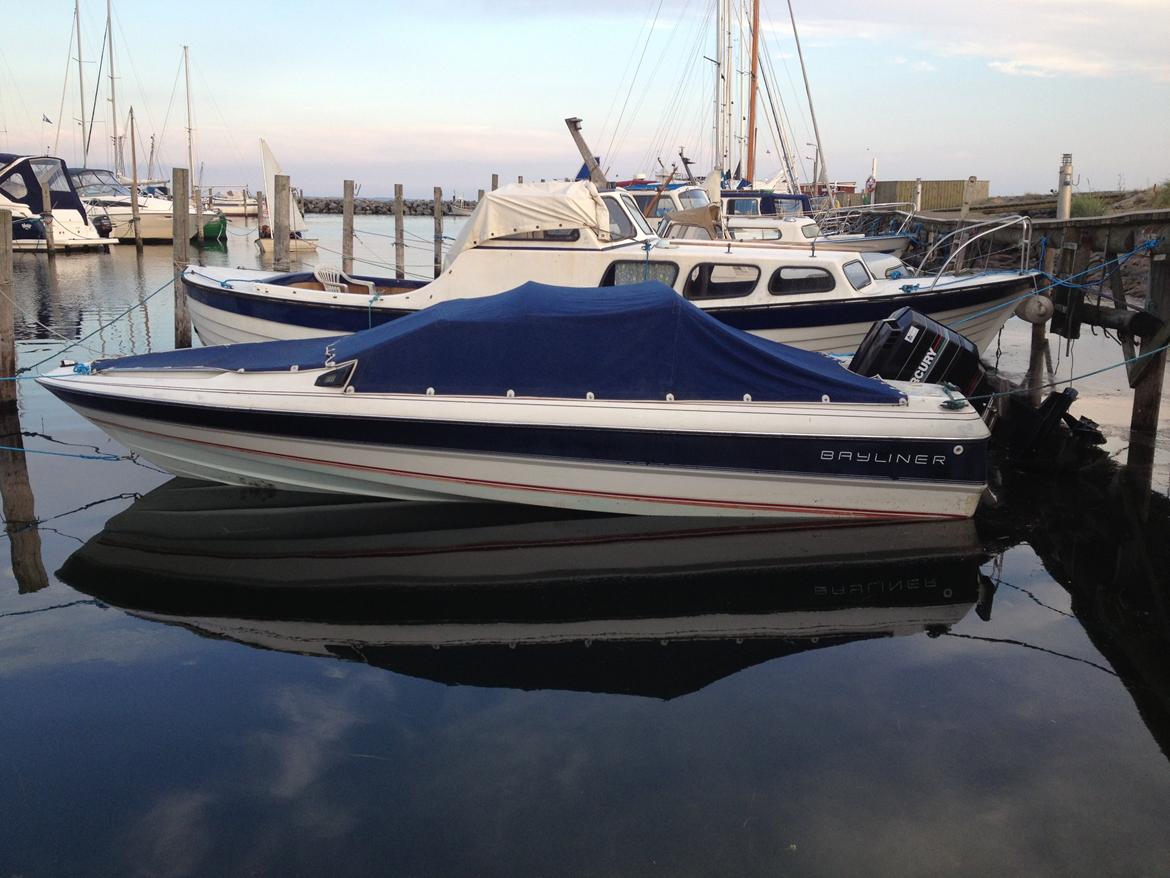 Bayliner Capri billede 14