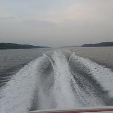 Chaparral Daycruiser Chaparral 205 LE