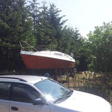 Balaton 24 (solgt)