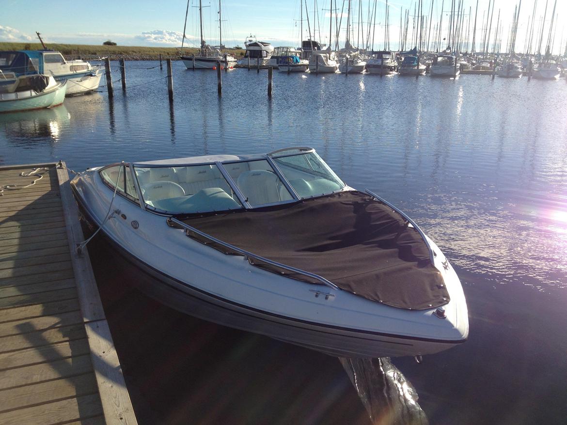 Mariah 202 Shabah - Klar til at blive trukket op efter første tur. billede 8