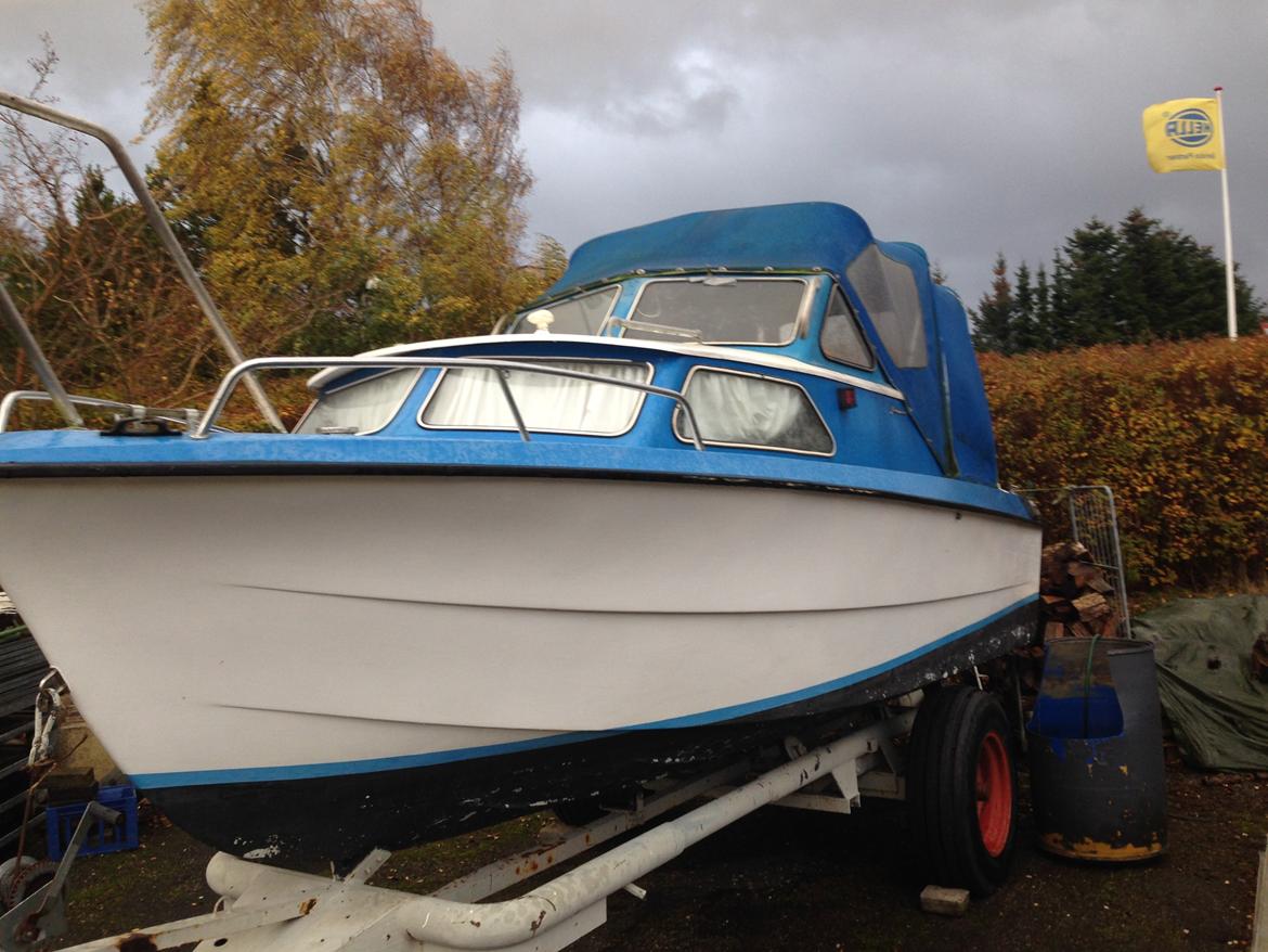Finmar Fair Lady billede 4