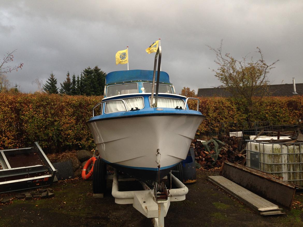 Finmar Fair Lady billede 6