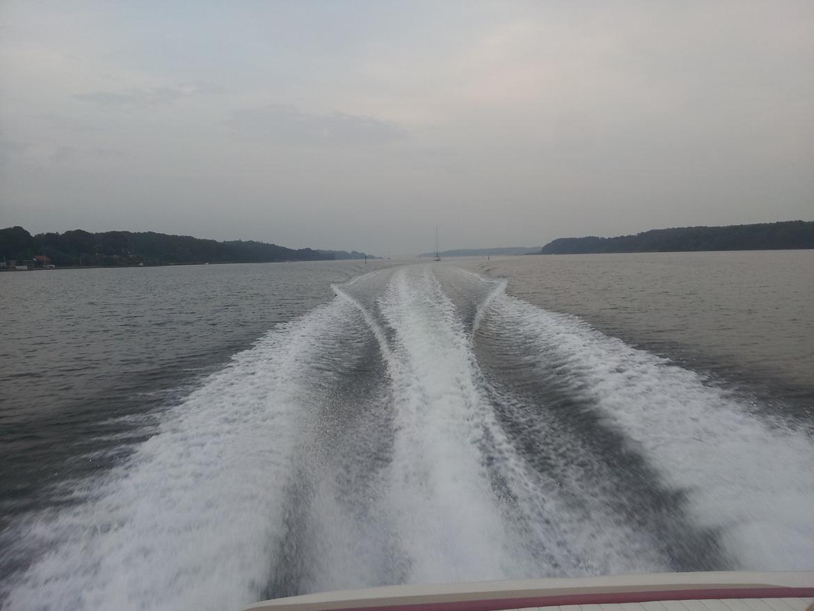 Chaparral Daycruiser Chaparral 205 LE billede 1