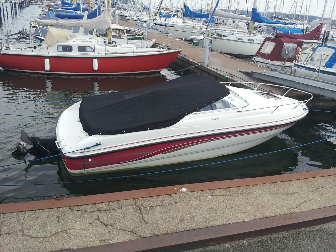 Chaparral Daycruiser Chaparral 205 LE billede 6