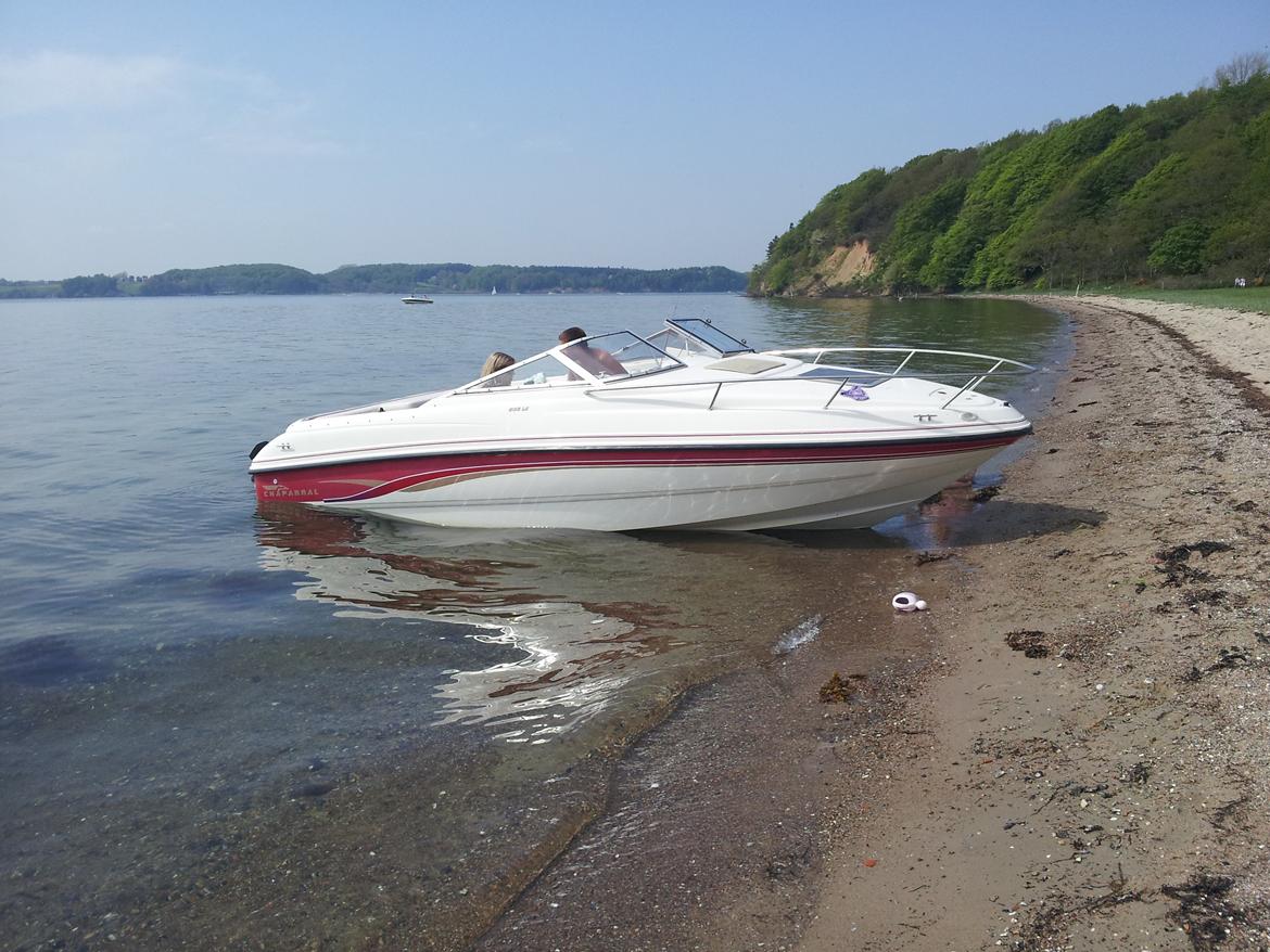 Chaparral Daycruiser Chaparral 205 LE billede 15