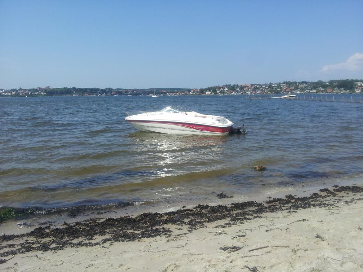 Chaparral Daycruiser Chaparral 205 LE billede 16