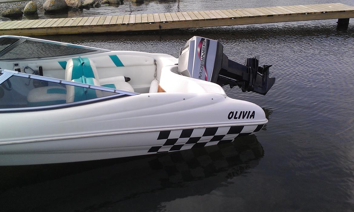Quicksilver 470 Sport billede 2