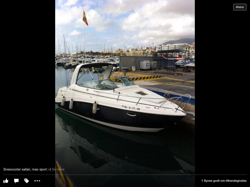 Rinker 260 Express Cruiser billede 6